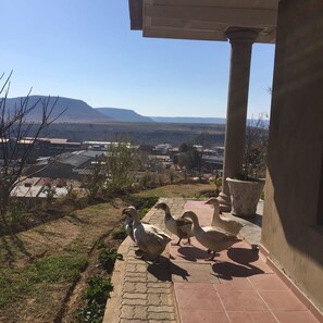 Property grounds - Noble Hearts Bed and Breakfast (Maseru)