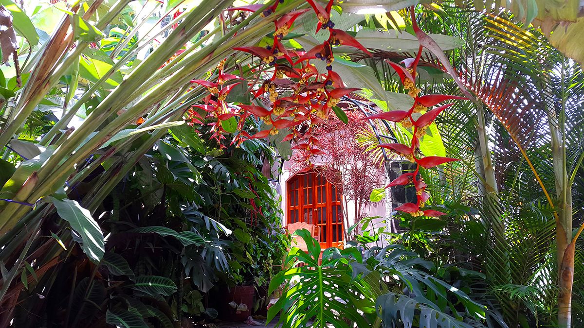 Tempat makan keluarga