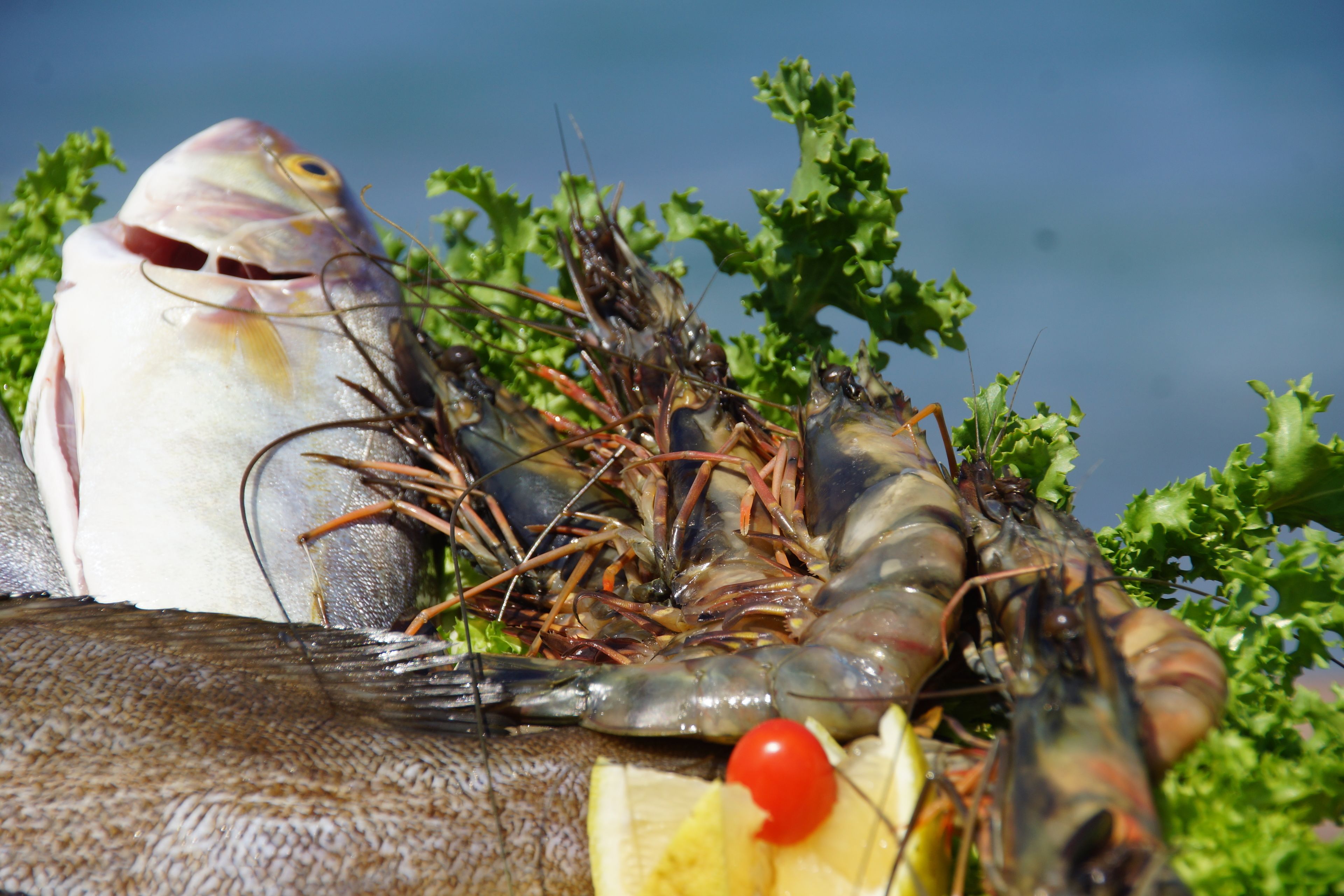 Eine Platte mit Meeresfrüchten, darunter Garnelen, Fisch und Zitronenscheiben.