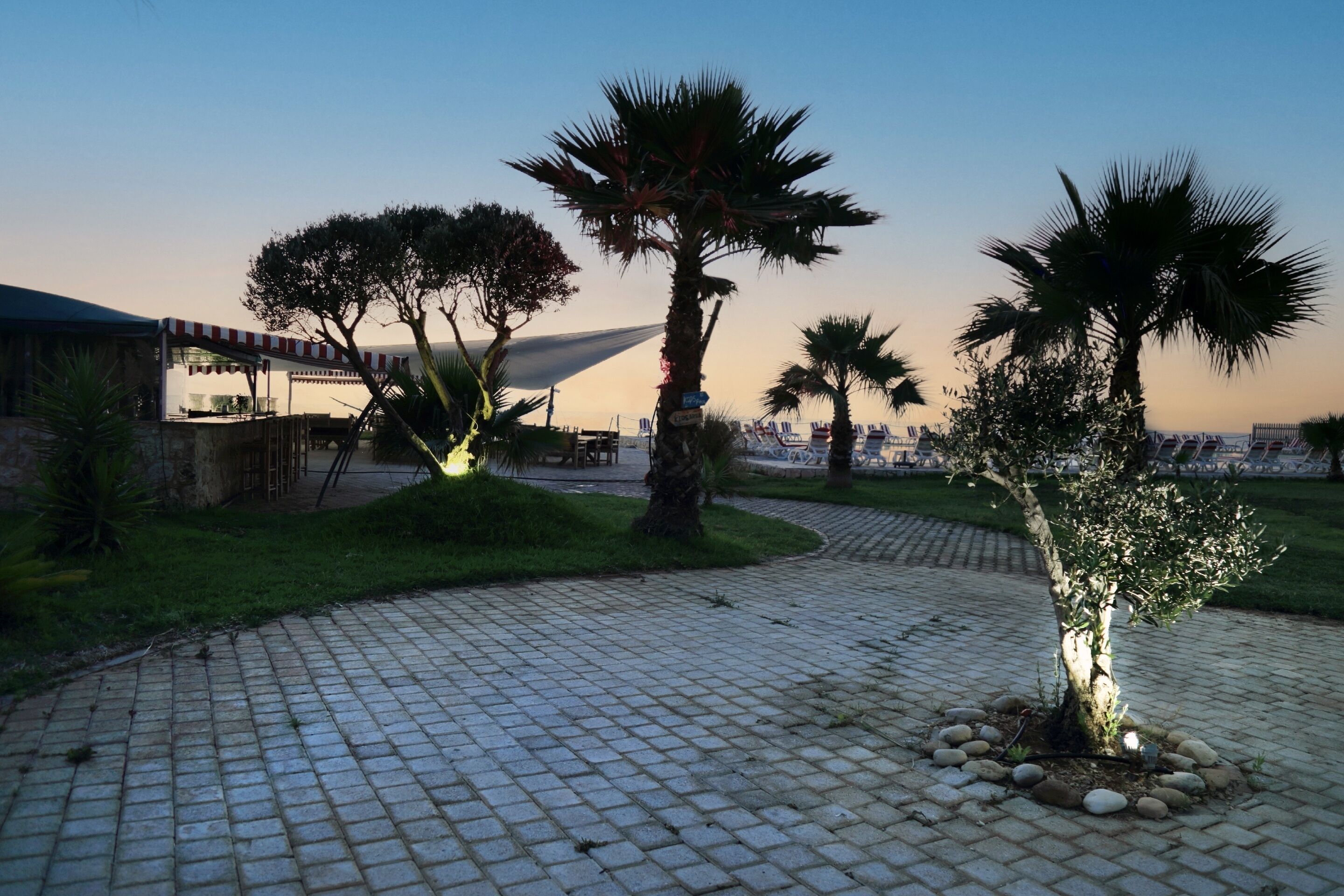 A paved walkway with palm trees and a building with a striped awning in the background.