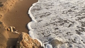 해변