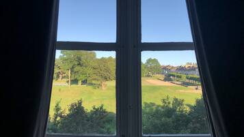 A view through a window with a clear sky, a grassy field, and a row of houses in the distance.