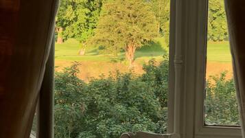 A view through a window with curtains, featuring a tree and a grassy area.