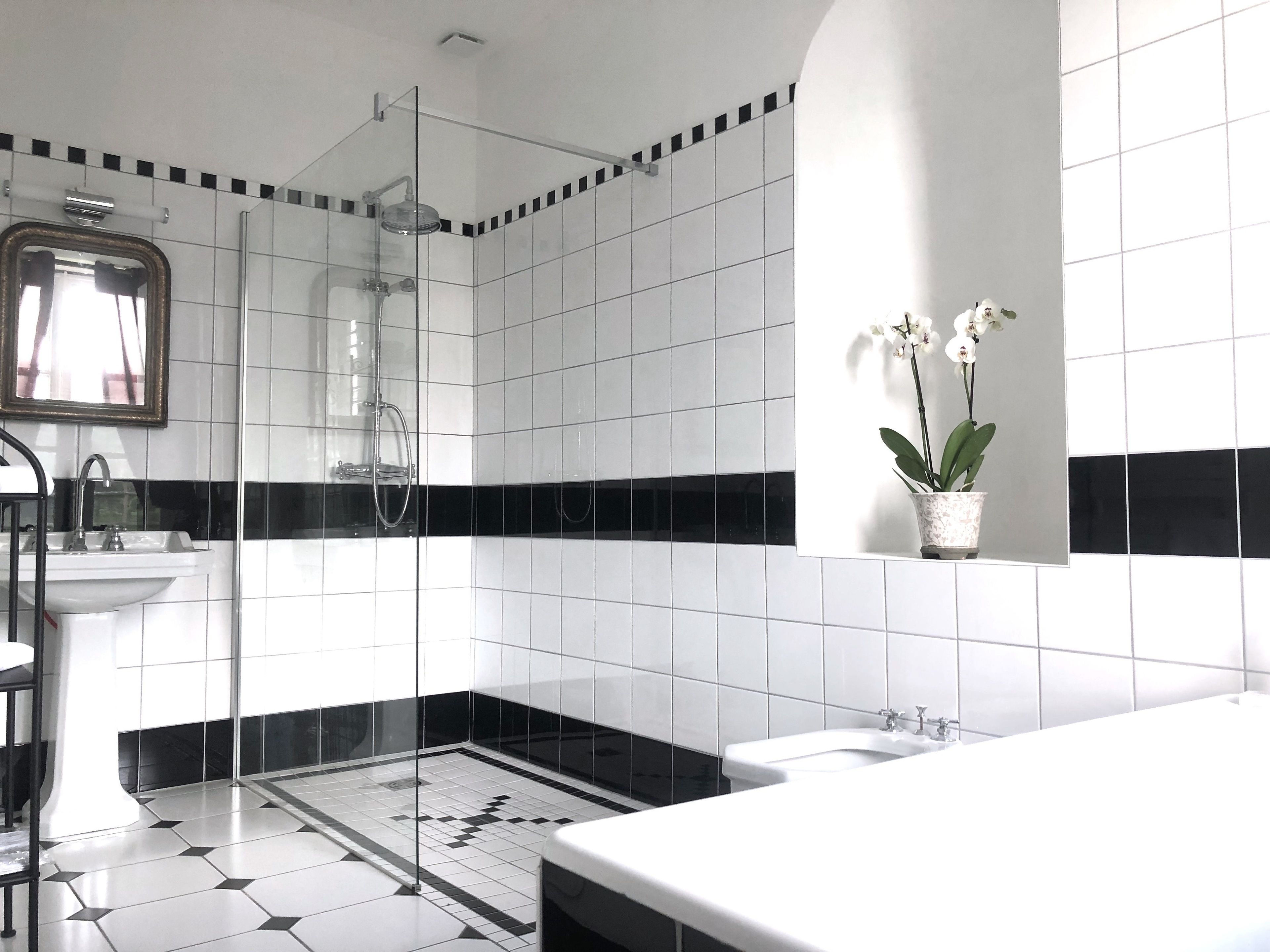 A modern bathroom with a glass-enclosed shower, a white sink, and a potted orchid.