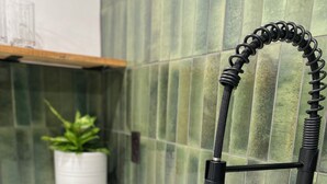 Uma cozinha com pia de aço inoxidável, uma planta em vaso e painel de azulejos verdes.