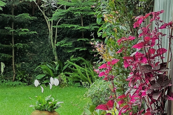 garden