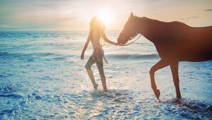 A person leading a horse on a beach at sunset. - Oceanfront Villa at Praia Grande · Heated Pool (Colares)