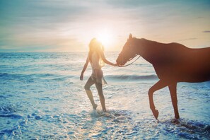 Eine Person führt ein Pferd am Strand bei Sonnenuntergang.