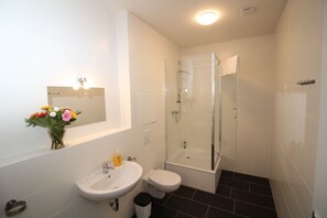 Douche, séchoir à cheveux, serviettes fournies, papier de toilette