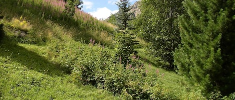 Enceinte de lâhĂ©bergement