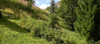 On an exceptional site, old stone house on the edge of the Ecrins park