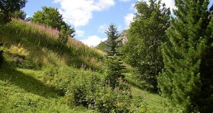Sur un site exceptionnel, vielle maison en pierre en bordure du parc des Ecrins
