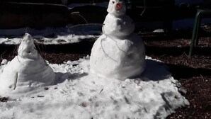 A snowman with a carrot nose and coal eyes, standing on a snow-covered ground with a dark background. - Nostalgic One-level Bungalow in perfect location! (Colorado Springs)