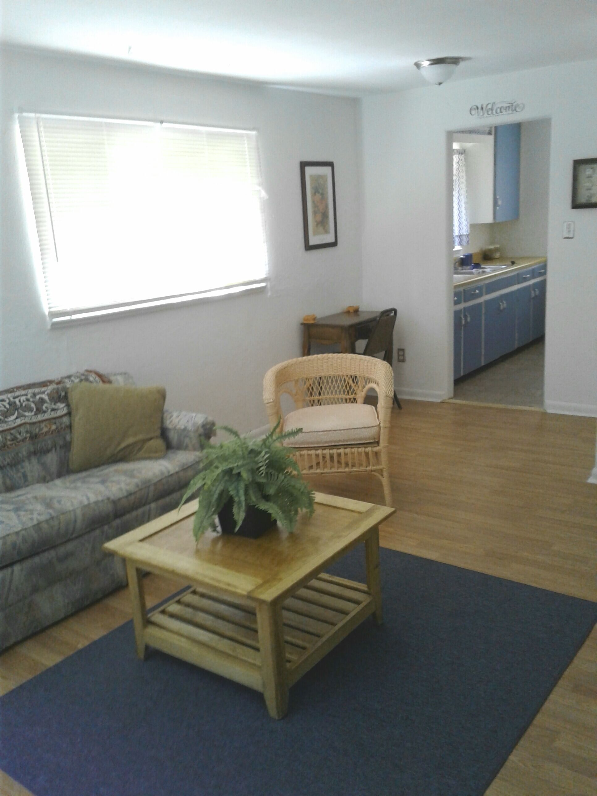 TV, DVD player, books, video library