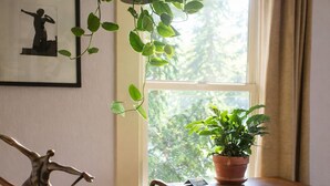 A dining area with a wooden table, chairs, a potted plant, and a sculpture.