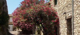 Medieval charm and soaring vistas in the heart of Provence: what's not to love?