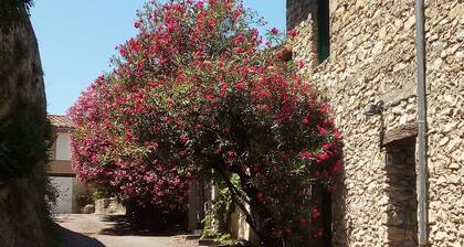 Charme médiéval et panoramas grandioses en pleine Provence: Qui mieux que nous ?