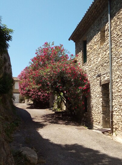 Medieval charm and soaring vistas in the heart of Provence: what's not to love?