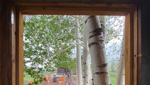 A window with a view of birch trees, a playground, and a building in the background. - Unique 40 AC Horse Friendly Ranch Renovated 1850 Miners Cabin w/3000 SF Addition (Gunnison)