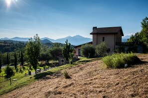 Esterni