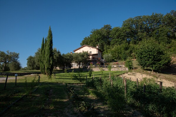 Exterior - Agriturismo Fiore (Rotonda)