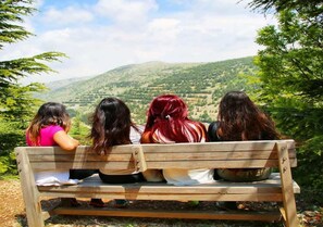 Exterior - Boustany Guest House - Hostel (Barouk)
