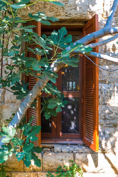 Boustany Guest House - Hostel