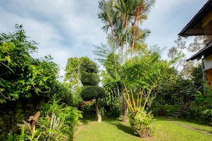 Un exuberante jardín con diversas plantas tropicales y un cielo despejado.