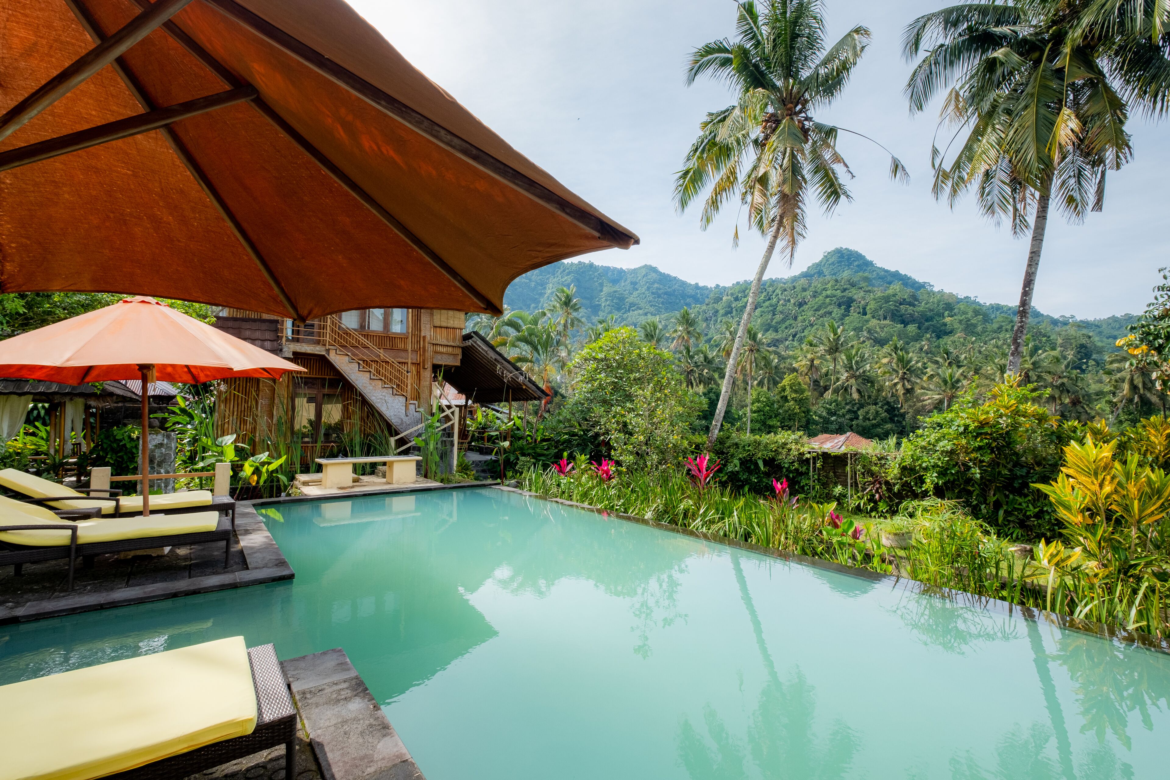 Outdoor pool, pool loungers