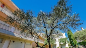 A courtyard with a tree, a building with balconies, and a clear blue sky.