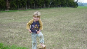 Un enfant se tient debout sur des souches d’arbre dans un champ herbeux.