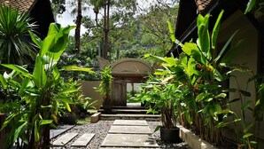 A pathway leading to a building with a covered entrance, surrounded by lush greenery and potted plants. - Montra Samui (Koh Samui)