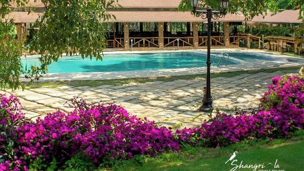 Zona de piscina con una zona de estar cubierta y un farol.
