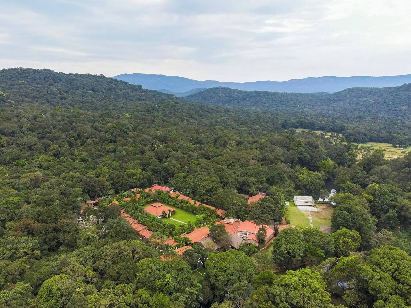 A large, lush green forest with a small cluster of buildings with red roofs.