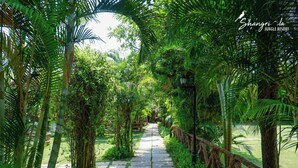 Un sendero bordeado de exuberante vegetación y bambú, que conduce a una valla de madera.