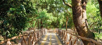 Shangri La Jungle Resort