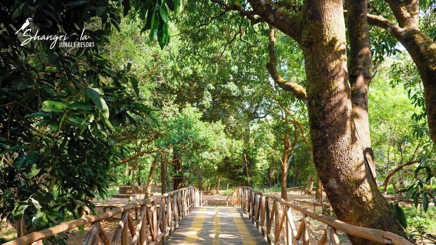 Shangri La Jungle Resort