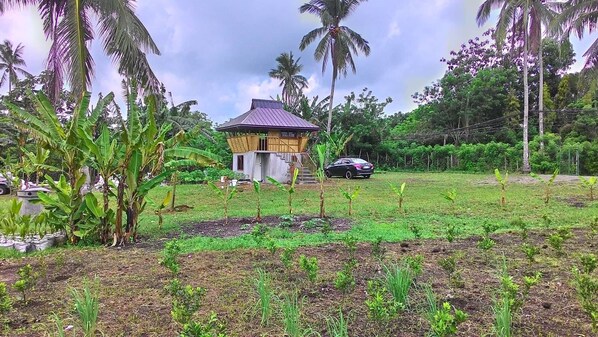Garden - Emperor's Organic Farm (Silang)