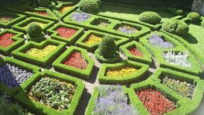 Ein sorgfältig angelegter Garten mit geometrischen Hecken und verschiedenen Blumenbeeten.