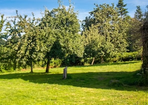 Um campo gramado com árvores e céu claro.
