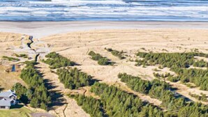 A coastal landscape with a beach, forested area, and a small house. - Pets OK, Amazing View, Steps to Town & Beach (Seas) (Long Beach)