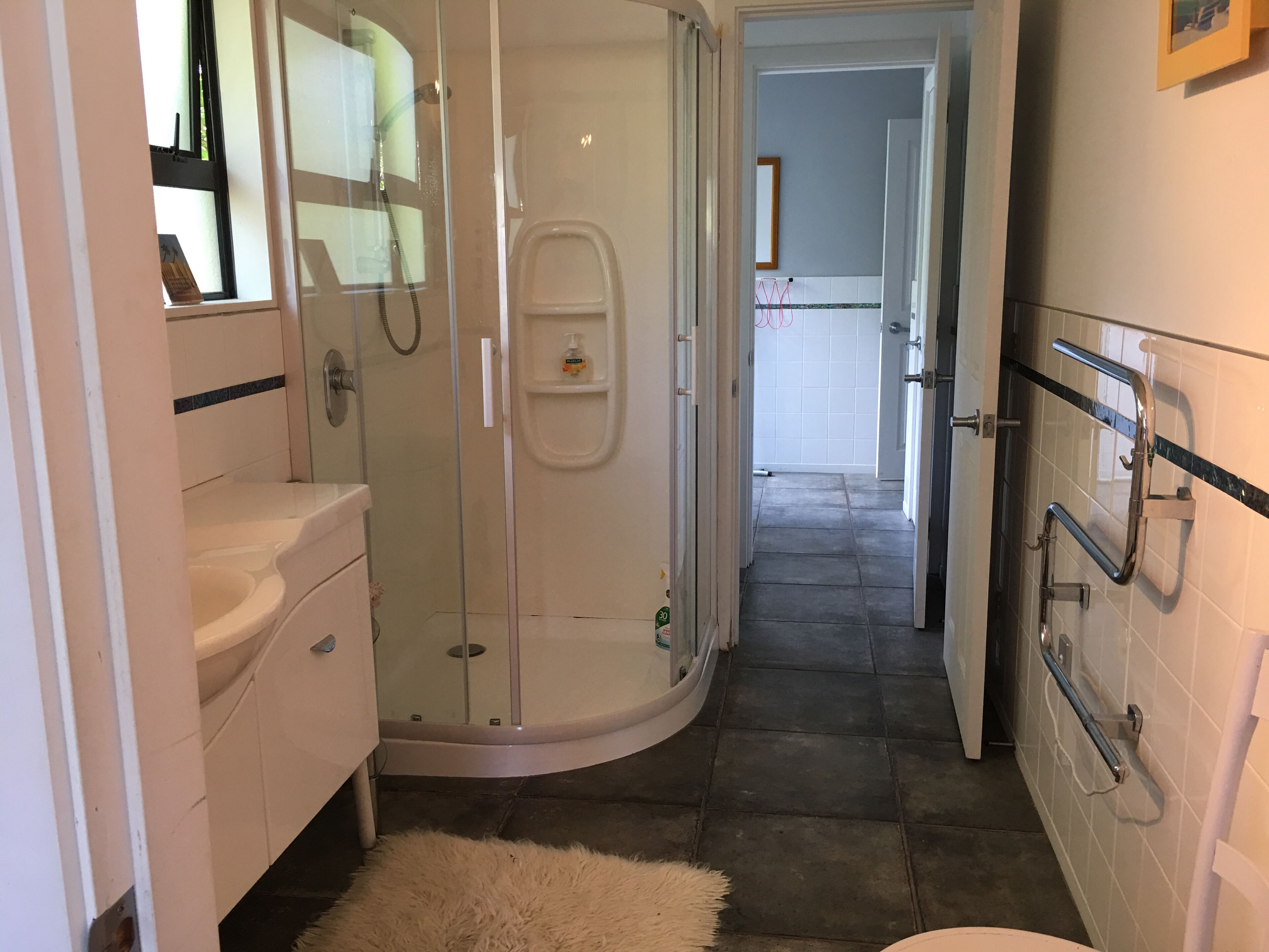 Shower, hair dryer, soap, toilet paper