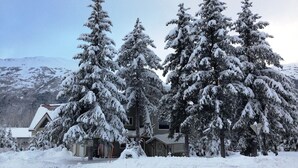 A snow-covered landscape with a house surrounded by tall evergreen trees. - Large group(walking distance to Alyeska Resort) (girdwood)