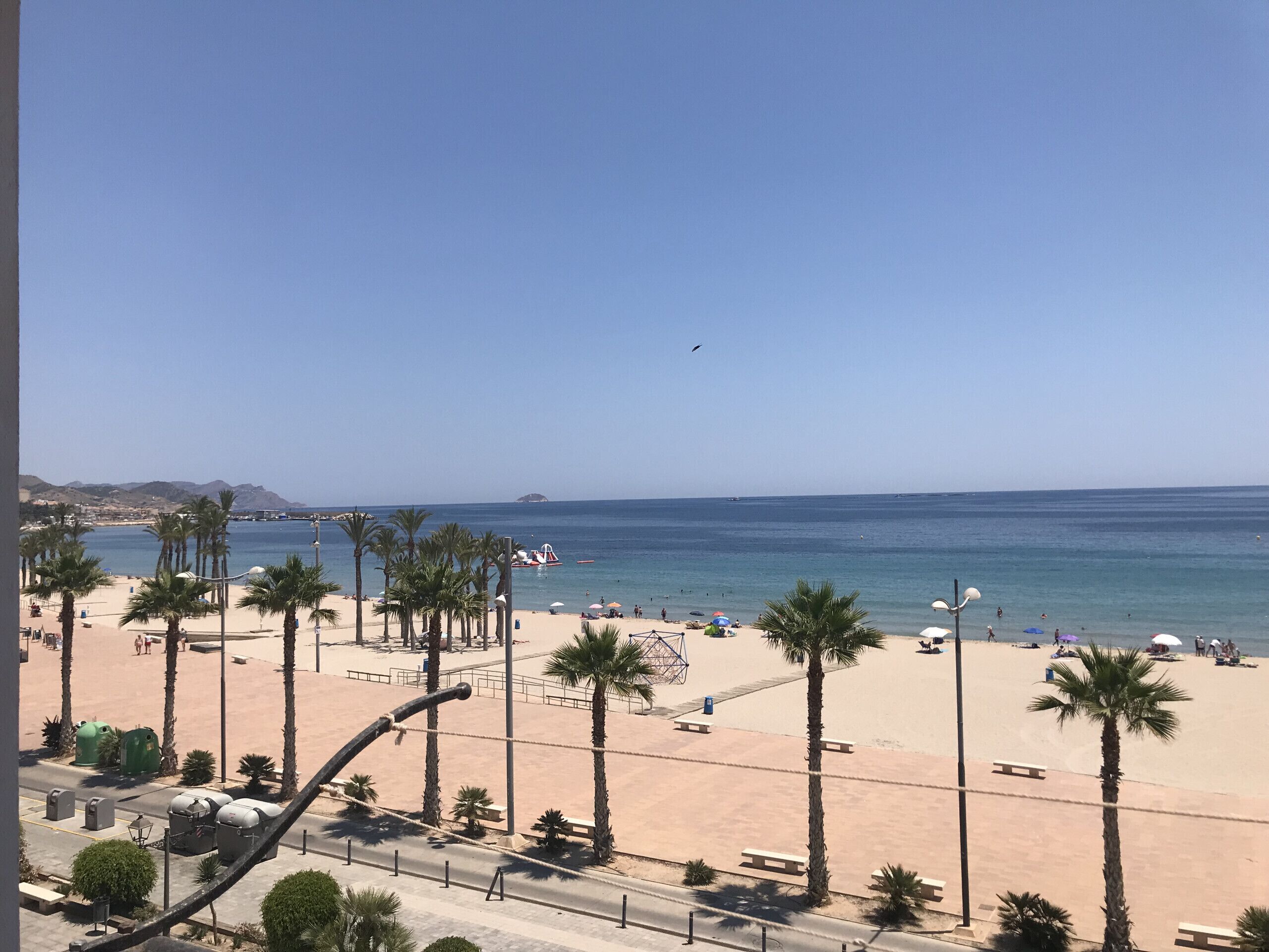 Una playa con palmeras, bancos y cielo despejado.