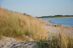 Plage à proximité