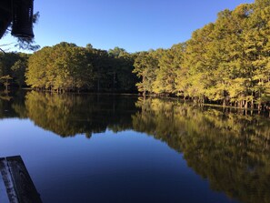 Un lago tranquilo con árboles densos reflejándose en el agua.