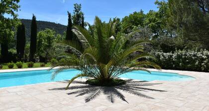 Magnificent villa on flat wooded land - Heated swimming pool treated with salt