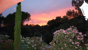 Un jardin avec un sentier, des arbres et des plantes à fleurs.