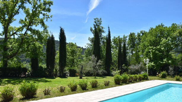 Une piscine rectangulaire dont le bord est recouvert de carreaux, entourée d’une pelouse bien entretenue et de divers arbustes.