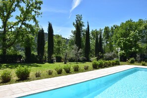 Une piscine rectangulaire dont le bord est recouvert de carreaux, entourée d’une pelouse bien entretenue et de divers arbustes.